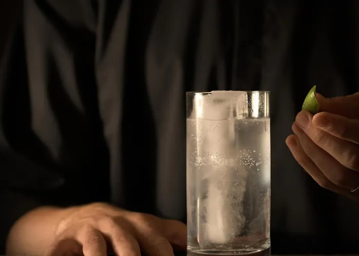 The Key 미크리 비글라