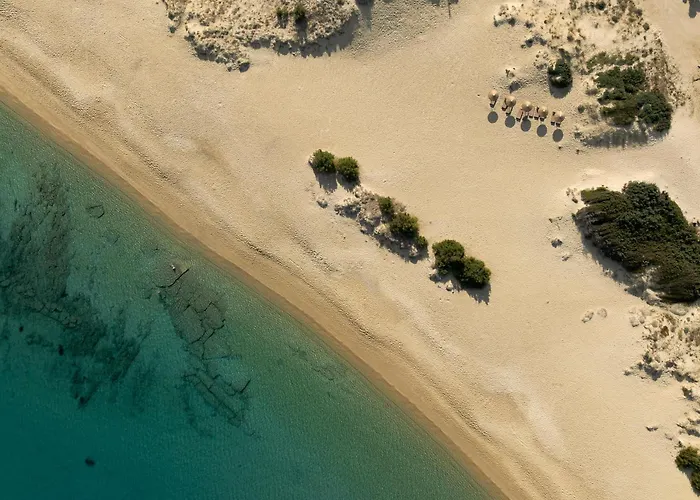 The Key 미크리 비글라